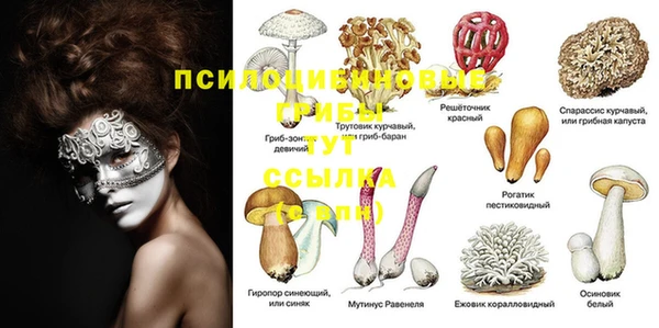 MDMA Premium VHQ Аркадак